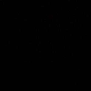 Meet your Posher, Trevor